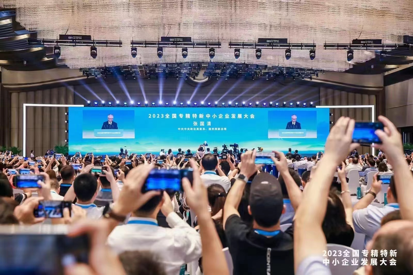 1691215621728423.jpg 1691215621728423.jpg